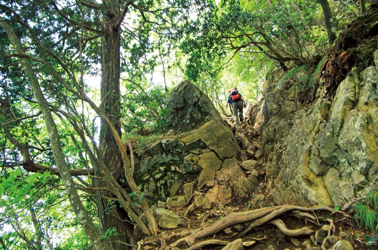 大嶽神社から大岳山山頂までは岩場が何箇所かある。
