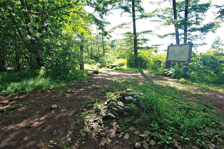 ようやく着いた御前山山頂。北側に展望あり。山頂の少し先に富士山が見える展望所あり。