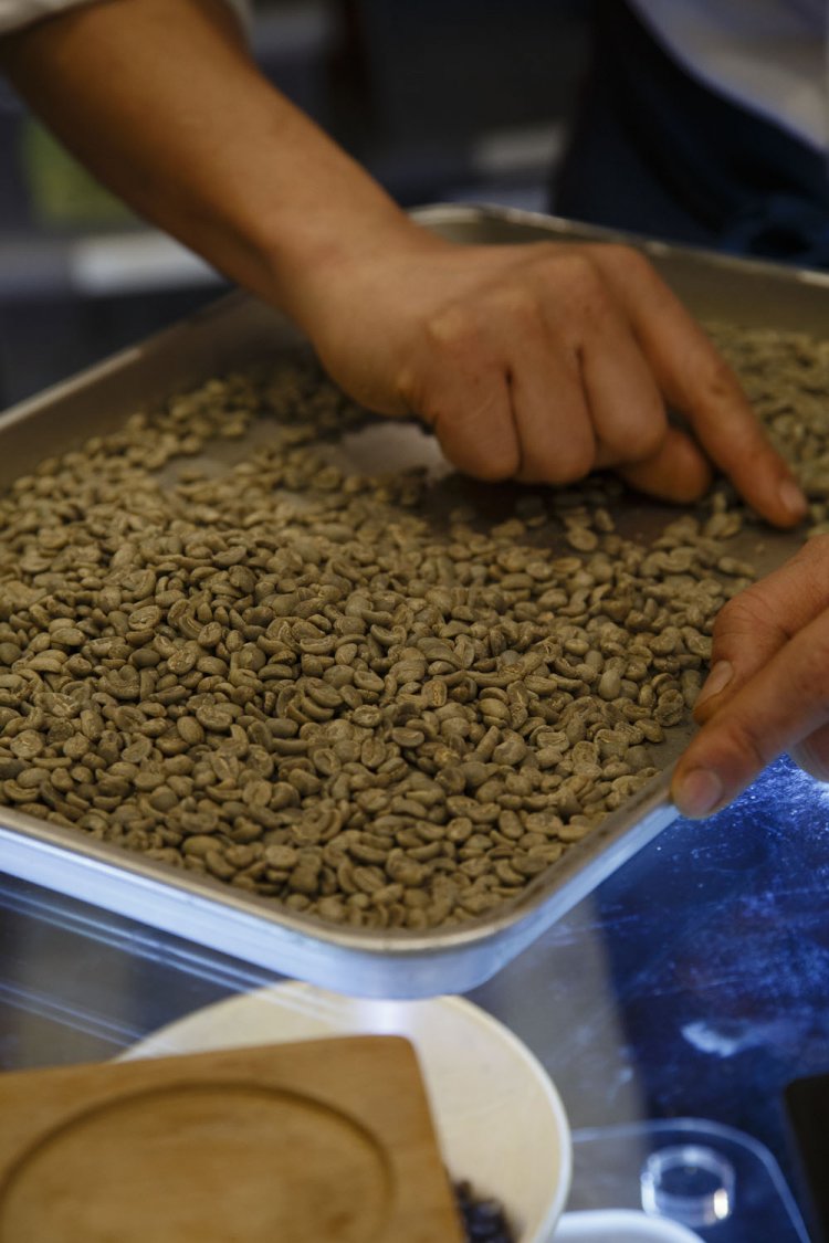 丁寧に豆をハンドピック。