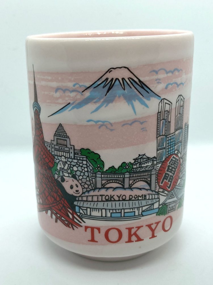 最初水色だけを買ったのだが、後から欲しくなってきて、後日ピンクを入手した