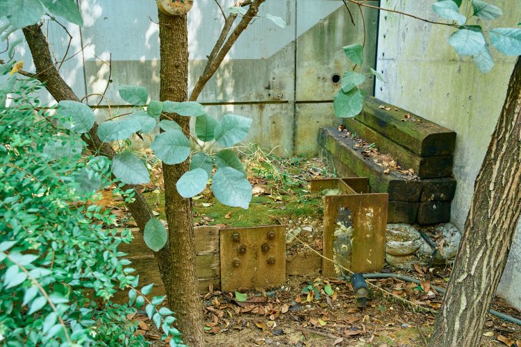 小径沿いの土留めにボルトが刺さったままの鉄板が。これは地下化工事の廃材だ。