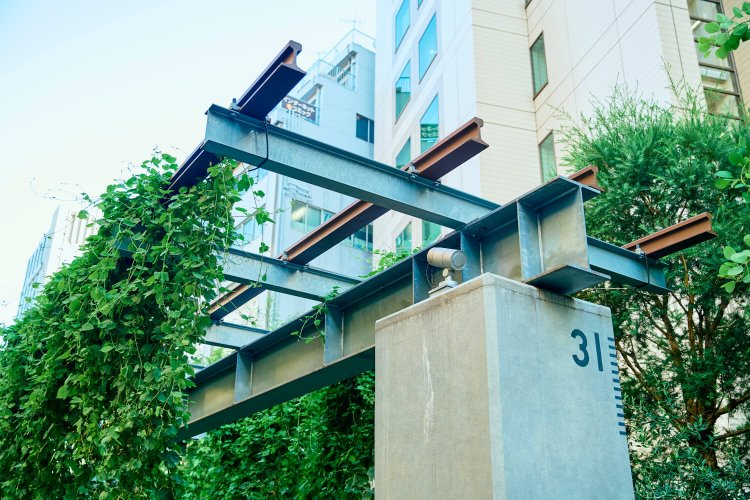 高架だった旧東横線路線再現パーゴラで栽培する、渋谷産ホップでのクラフトビール醸造計画が進行中だ。