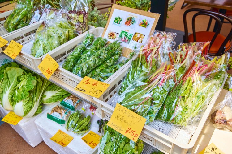 世田谷代田キャンパス2