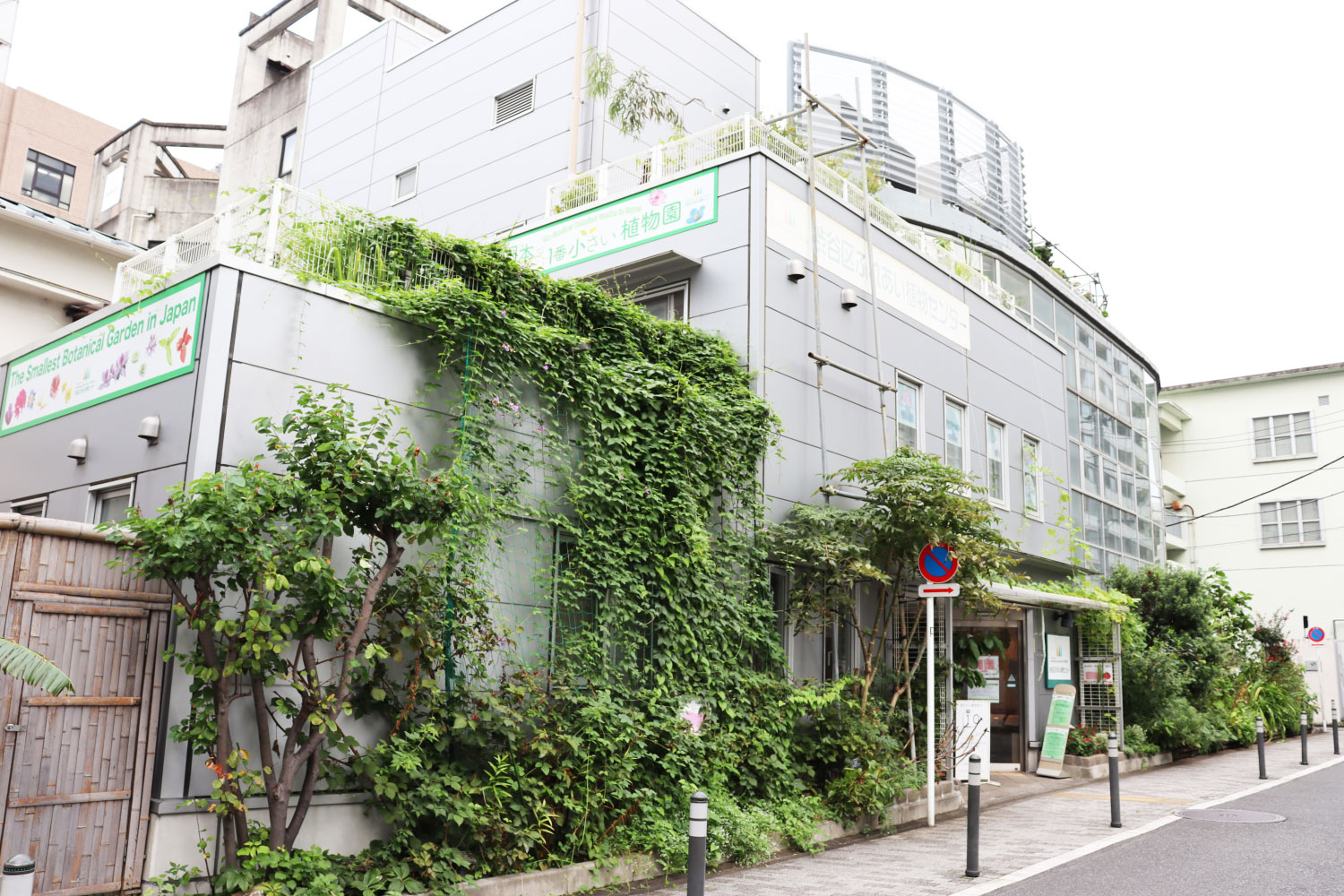 日本一小さな植物園 渋谷区ふれあい植物センター は地域のハブの役割も果たす 渋谷の庭 だった 路上園芸探訪 さんたつ By 散歩の達人