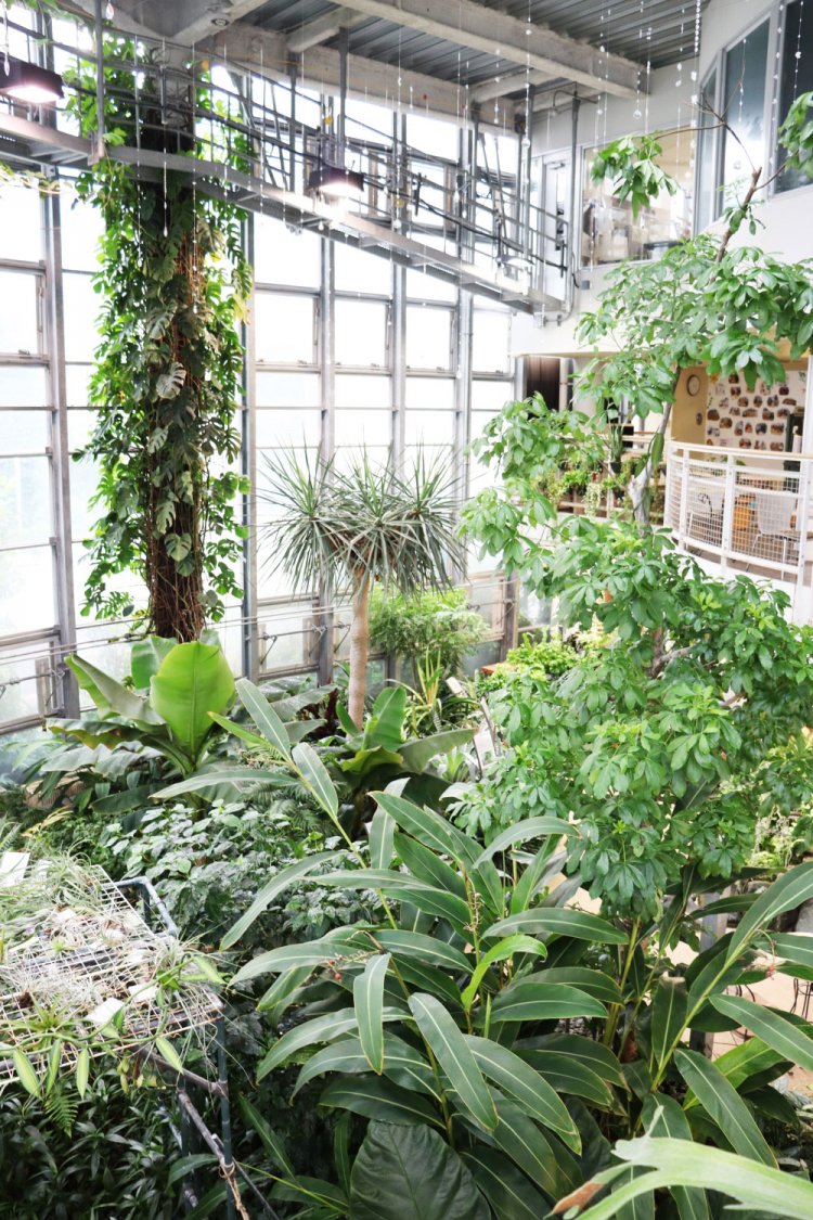 緑に包まれた気持ち良い空間が広がる。