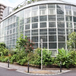 日本一小さな植物園『渋谷区ふれあい植物センター』は地域のハブの役割も果たす“渋谷の庭”だった！