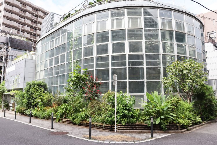 屋外には四季折々の植物が植えられている。