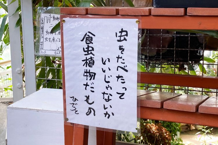 ニヤニヤさせられるしかけがたくさん。