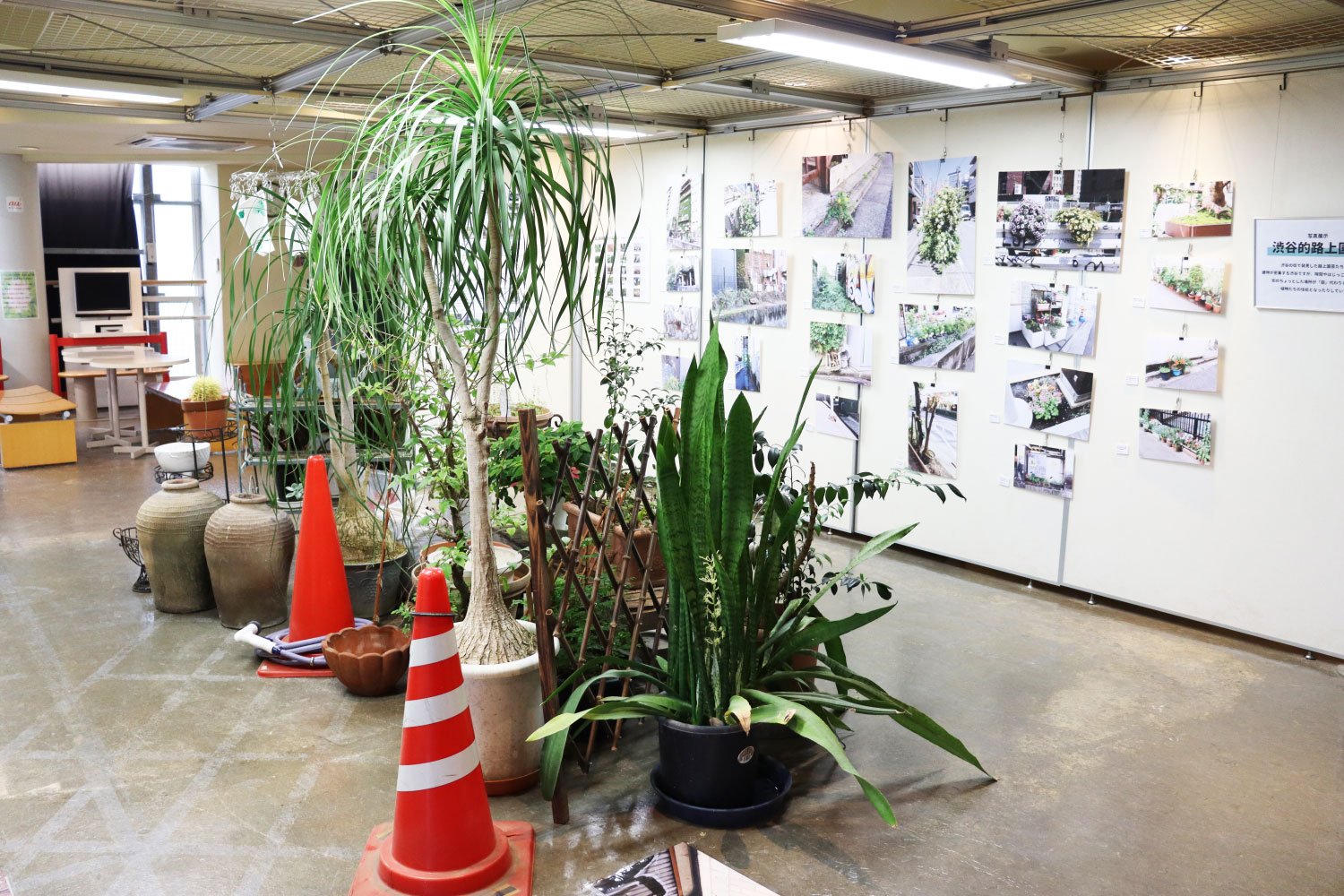 日本一小さな植物園 渋谷区ふれあい植物センター は地域のハブの役割も果たす 渋谷の庭 だった 路上園芸探訪 さんたつ By 散歩の達人