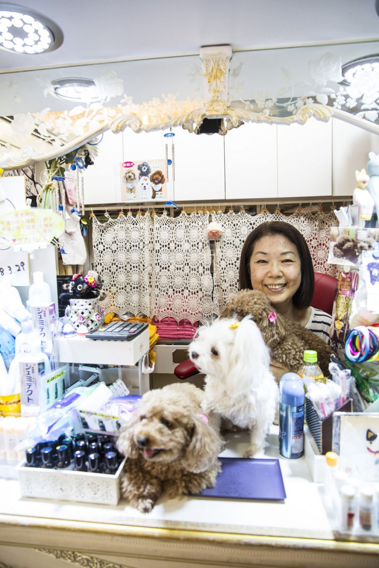 女将の水野逸子さんと看板犬4頭が、愛らしさで癒やしにかかる。