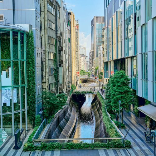 粋な鉄道遺産！ 再生した渋谷川に沿って水辺と緑の小径を行く、東急東横線の線路跡ストリート