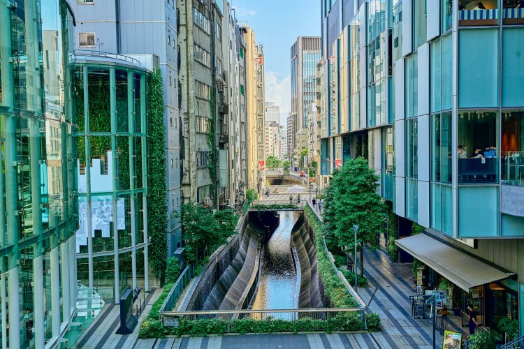 壁泉から清流復活水が注ぐ渋谷川。新並木橋の南までは川に沿って遊歩道が延びる。