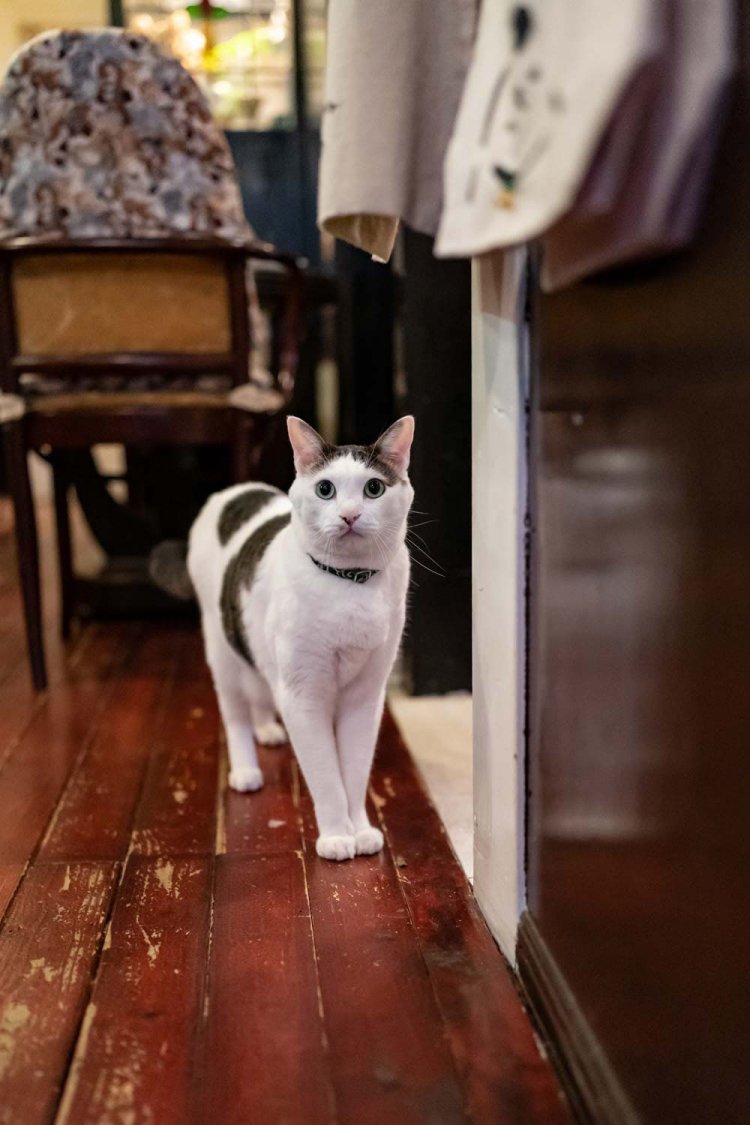 「いらっしゃい」と言った感じで迎えてくれました。