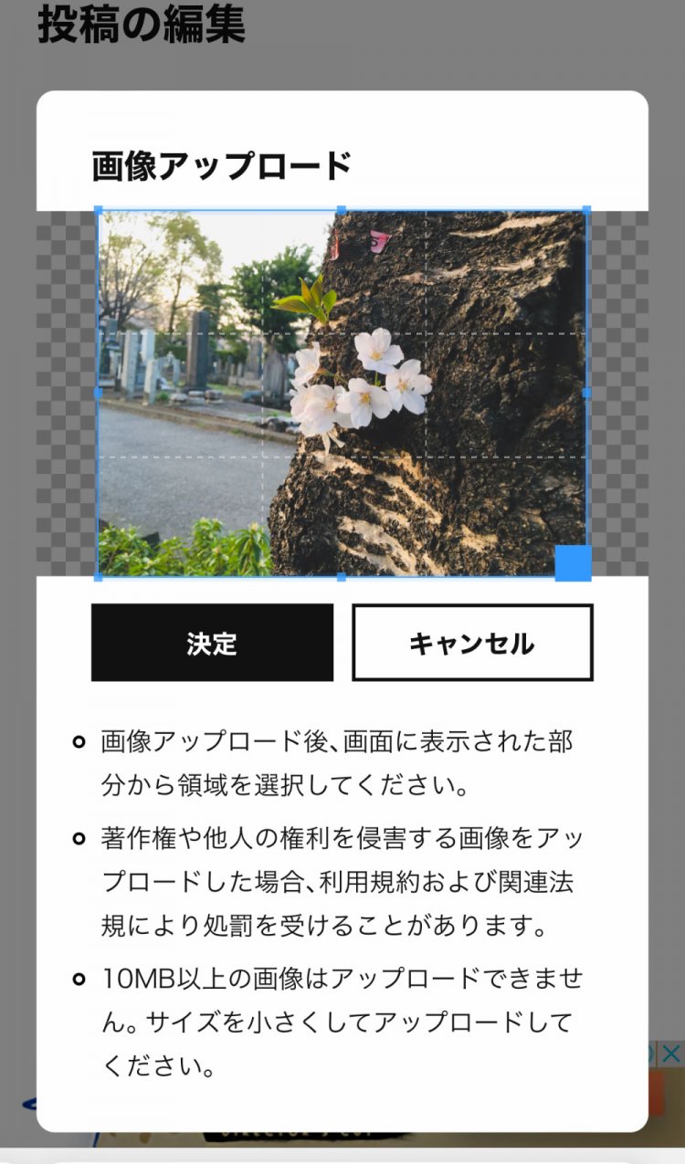 「こりゃいいぜ！」投稿ガイド・Q&A