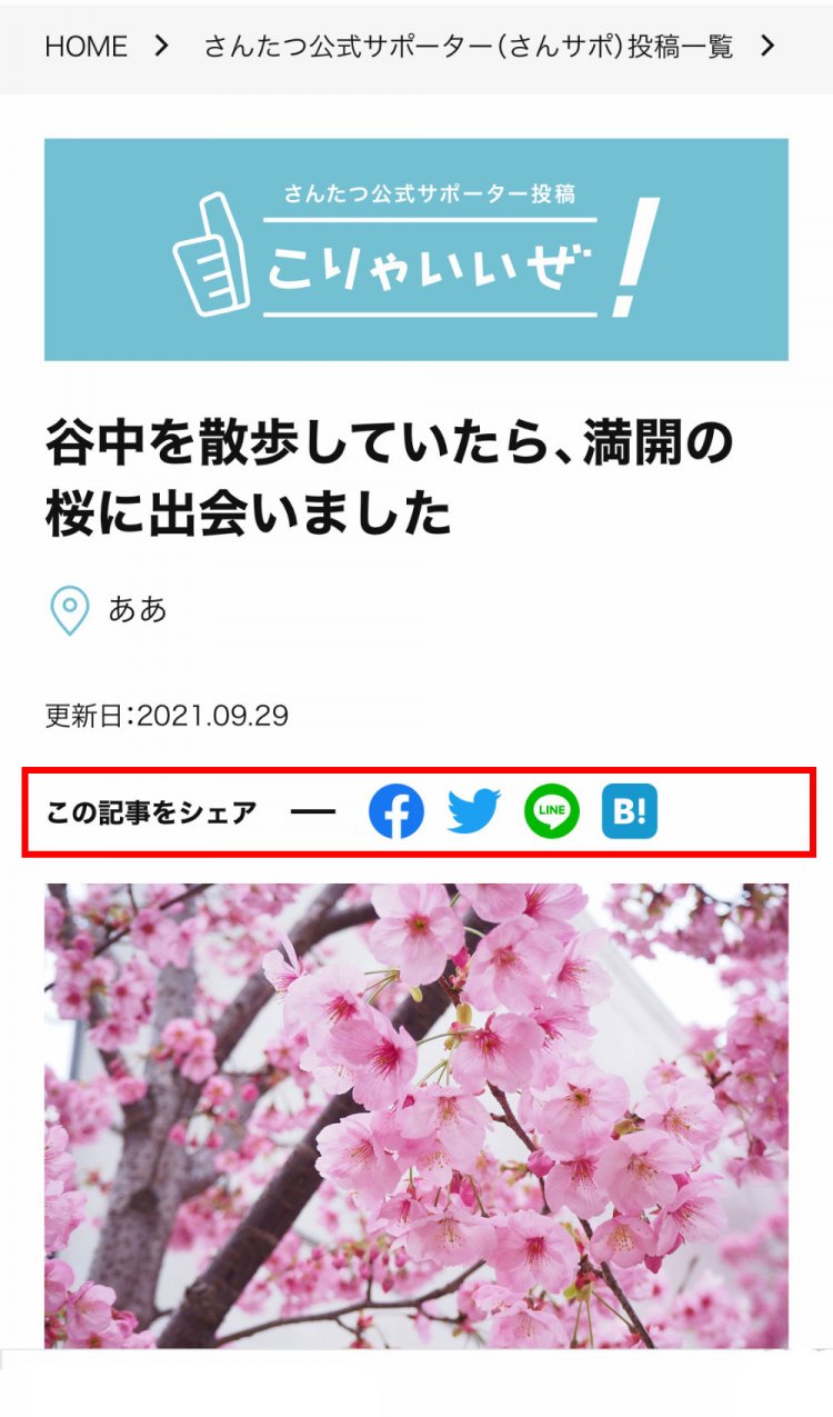 「こりゃいいぜ！」投稿ガイド・Q&A