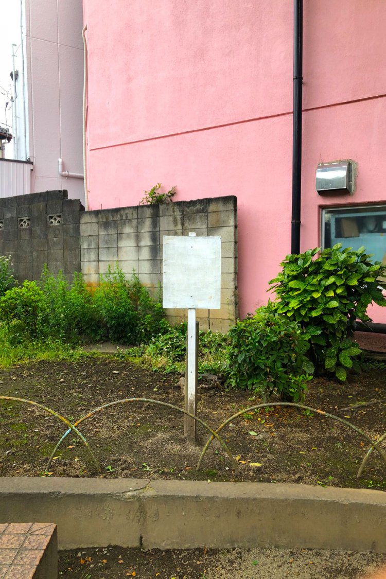 Pretty in front of pink《ピンクの壁の前の白いフラミンゴ》