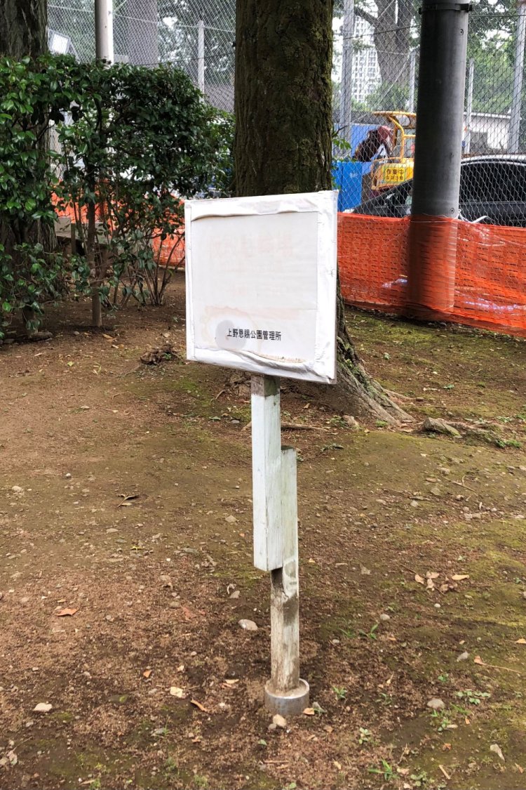 Stand on tiptoe《ちょっと背伸び》