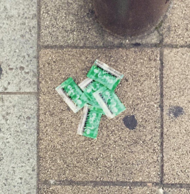 藤田さんが最初に撮った「落ちもん」の写真。