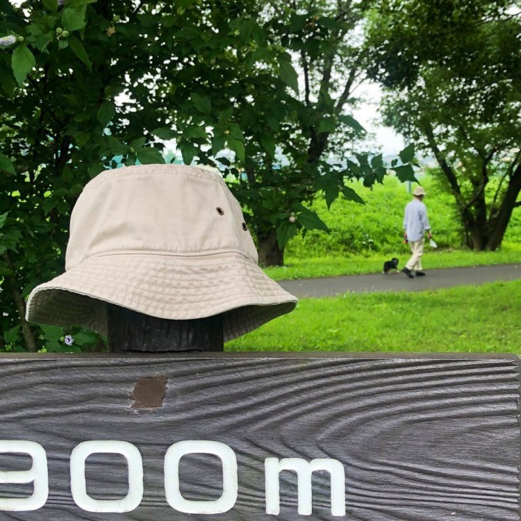 落ちもん写真収集家・藤田泰実さんインタビュー