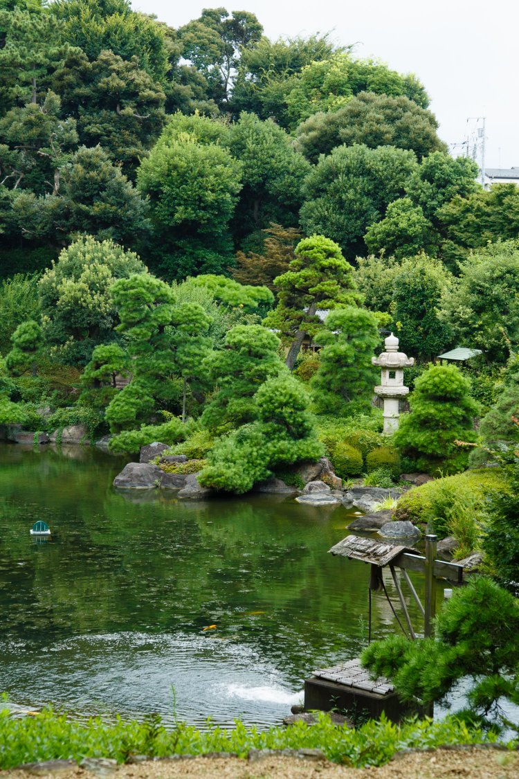 通常非公開の奥庭・松濤園。