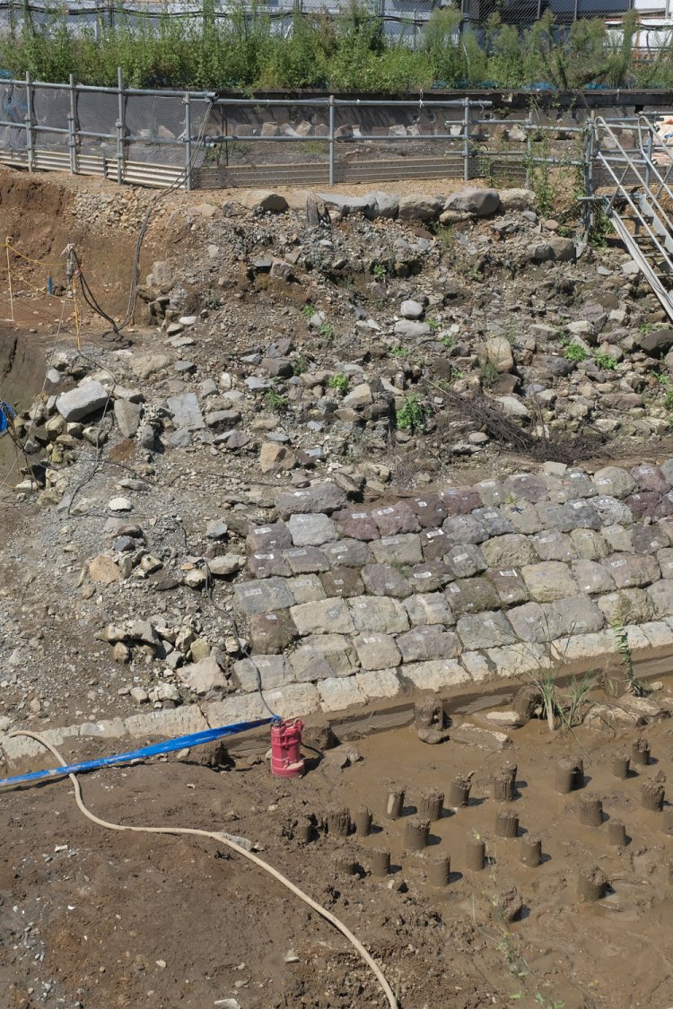 石垣の底辺部分。石垣に並行してある木の角材は「胴木」で、それを押さえている杭は「留杭」。手前の四列の波除け杭（杭列）が堆積層の土から顔を出す。