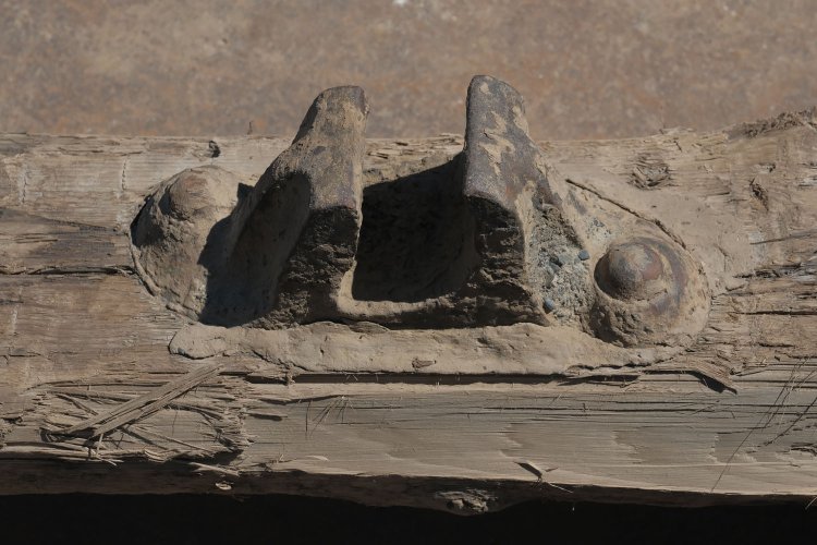 高輪築堤見学会