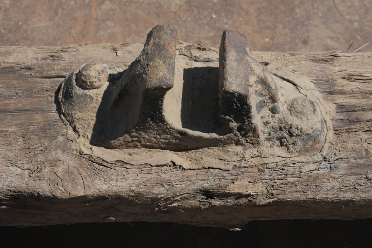 高輪築堤見学会