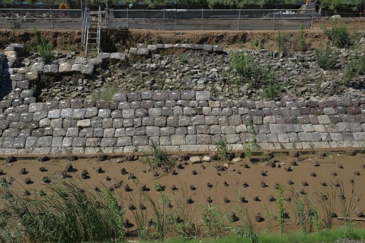 築堤の途中から石垣が無くなり裏込石が露出している。石垣は埋め立ての際に撤去され、この状態で現れた箇所もある。