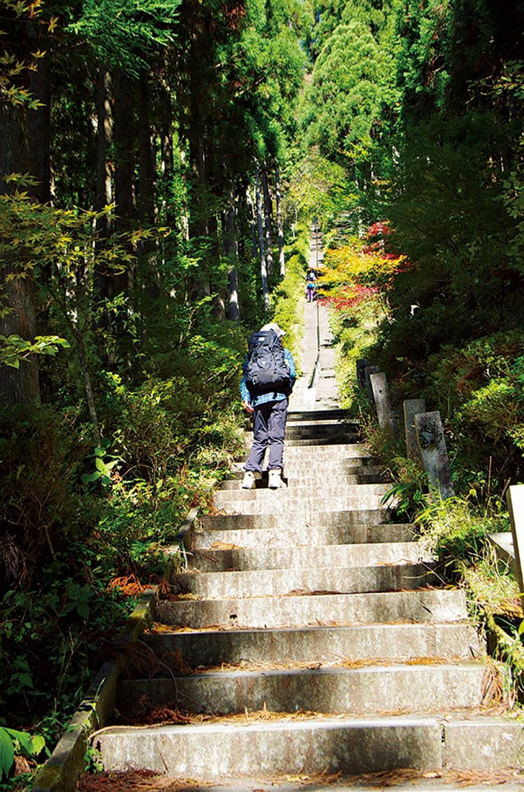参道へ入ると迎えてくれる400段ほどの石段。