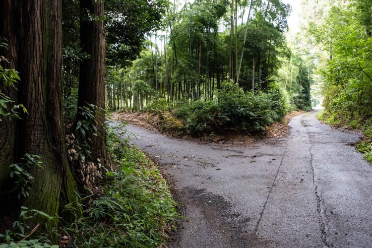 代官屋敷跡と推定される稲荷塚古墳周辺の薄暗い三差路。
