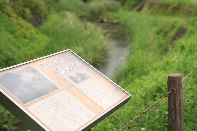 明治38年（1905）に徳川慶喜は坂川を撮影。説明板にある当時の写真と、今の風景を見比べると面白い。