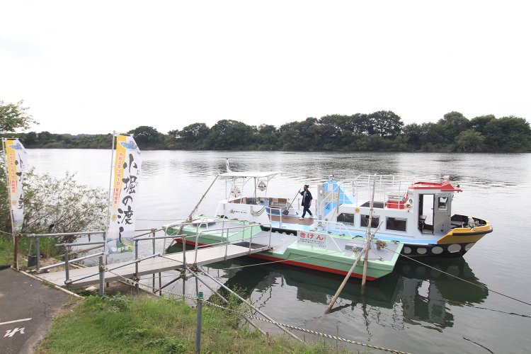 対岸の小堀と取手ふれあい桟橋を結ぶ小堀の渡し。大正3年に運行を開始し、当時は生活の足、今は観光船として活躍する。