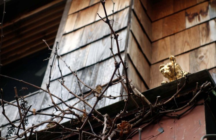 街の中に隠れる『Golden neighbors（金色ネズミ）』。陶器で作られた金色に輝くネズミさんは全部で20匹。彼らを探すだけでも1日が終わってしまいそう。