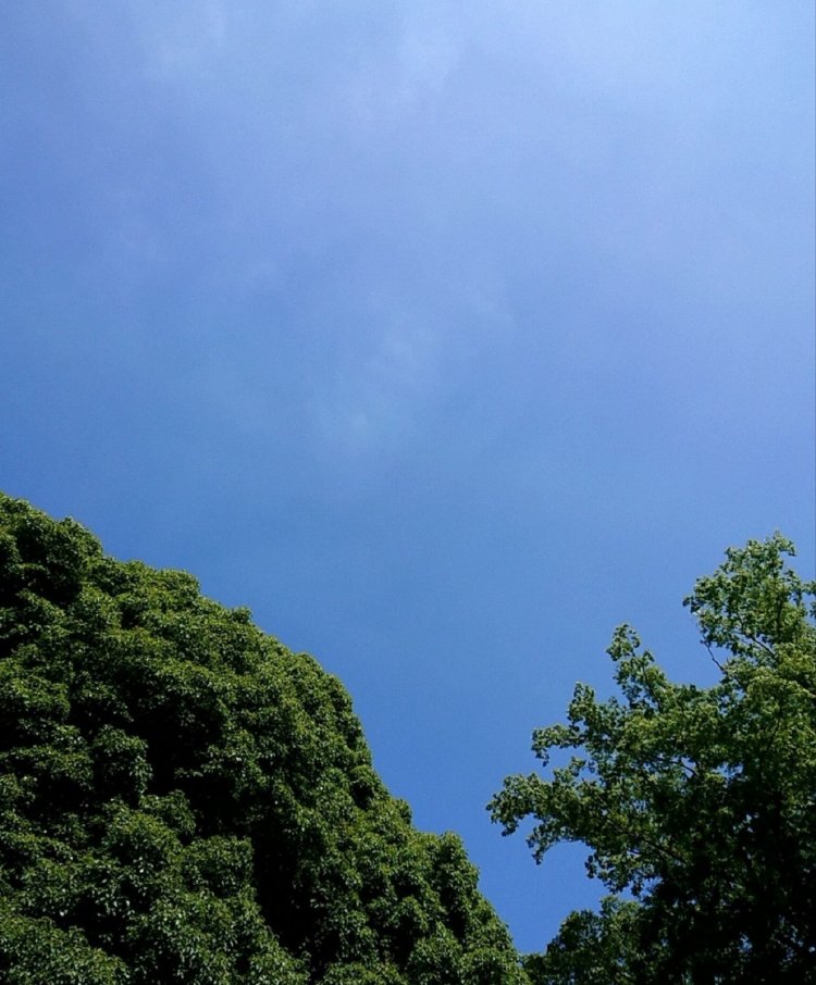 空