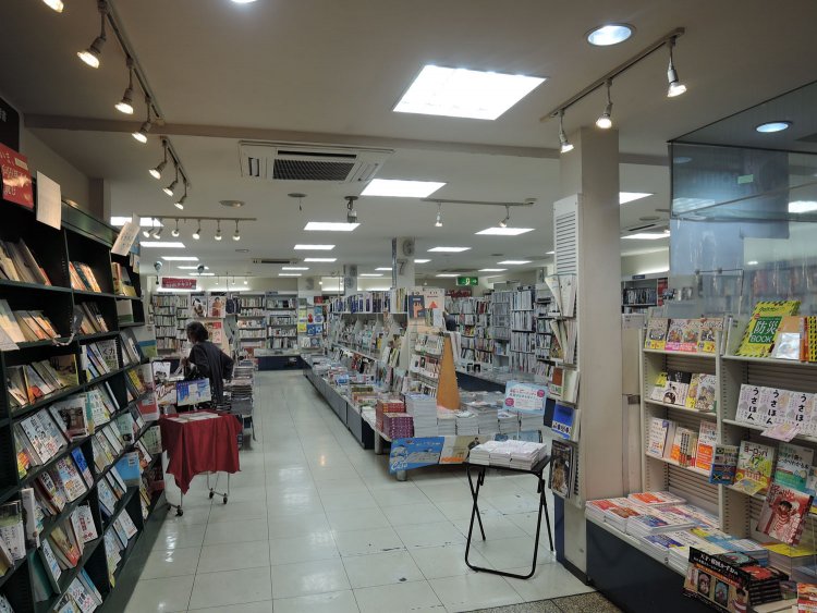 入ってすぐ左の深緑の本棚は、すべて表紙が見える面出し。