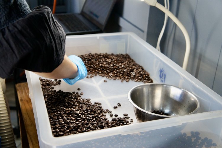 仕入れた豆は『glin coffee』専用の焙煎所で丁寧に選別作業をし、選び抜いた豆だけが商品として提供される。地道だが、味を作用する重要な工程だ。