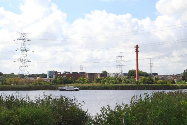 根戸新田の信号あたりからの、手賀沼ビュー。