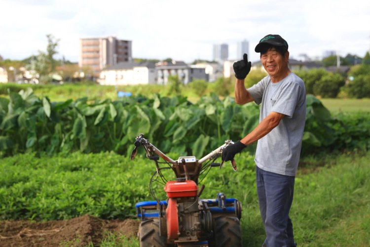 根戸新田で作業をしていた『手賀沼ファーム』の農家さん。「秋はさつまいも掘り体験も人気だよ」。