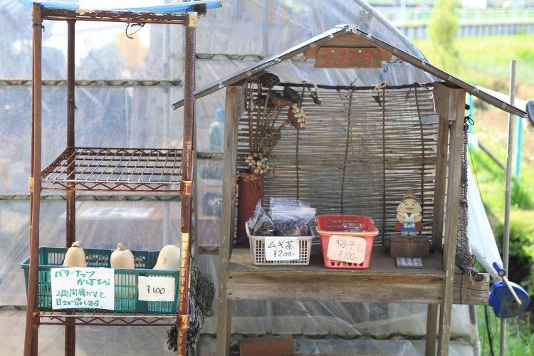 『手賀沼ファーム』の小さな直売所。汗をかいたら梅干しで塩分補給はいかが？