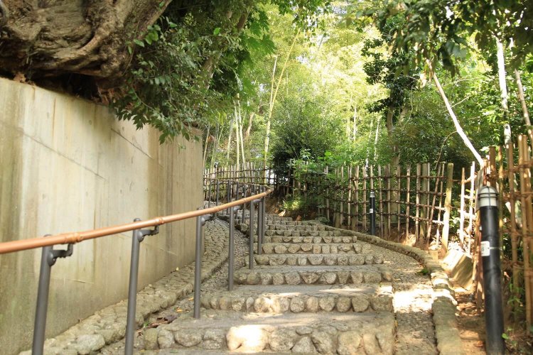 標高20mほどの台地の下に、手賀沼干拓地が広がる。その間には崖状の斜面が形成され、両側を結ぶ階段や坂が点在（写真は嘉納治五郎別荘跡の下の天神坂）。