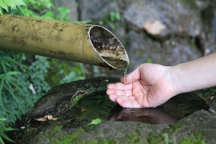 『白樺文学館』や『志賀直哉邸跡』の前を通るハケの道。関東地方では崖地のことをハケと呼び、ハケからは台地に溜まった雨が湧き水として流れていた。