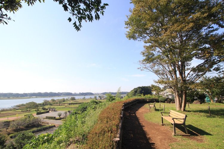 『鳥の博物館』の先にある『高野山桃山公園』。台地の上にある展望スペースからは、東西に長い手賀沼を一望！