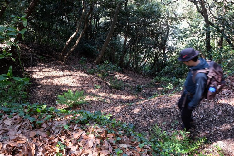 七曲りといわれる尾根から下る道。ここが本来の化粧坂のルートになるようだ。