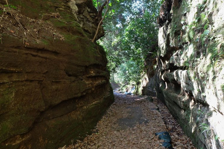 朝夷奈切通し。