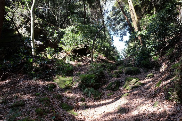 朝夷奈切通し２