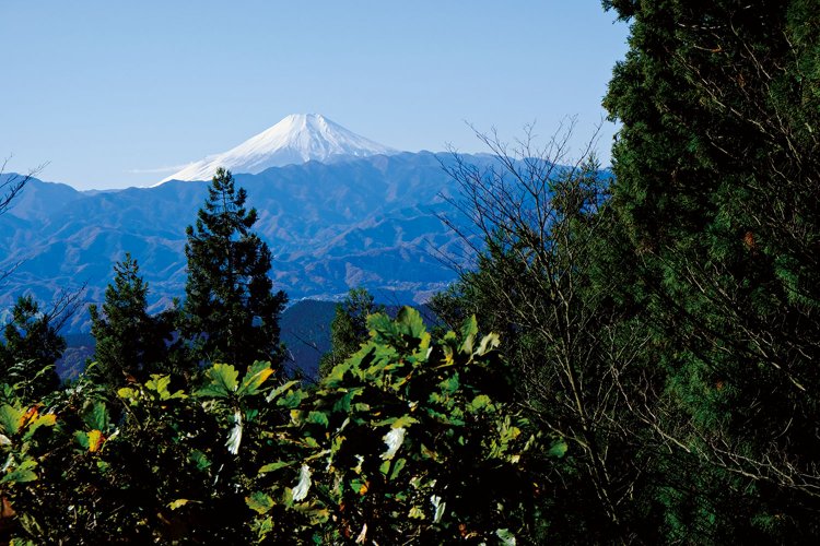 コース上で富士山の展望がいいのは景信山、明王峠、陣馬山。これは景信山から。