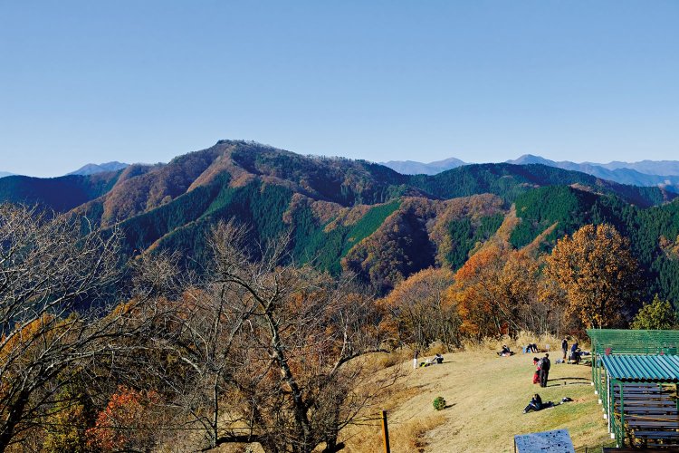 陣馬山山頂から北西の笹尾根の眺望。中央左側の高い山は標高1016mの連行峰（れんぎょうほう）。