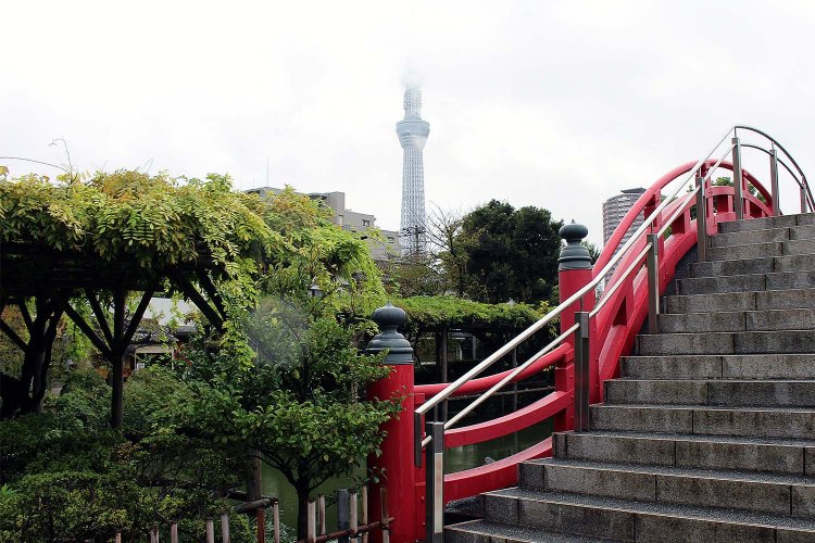 亀戸天神の境内から見る東京スカイツリー。