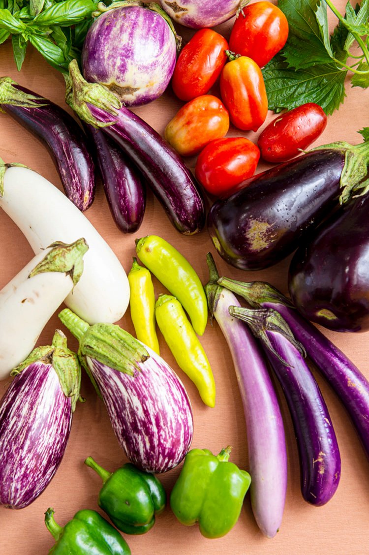 写真上部のローザビアンカはイタリアの伝統品、対して左下はスペインの伝統品種でリスターダデガンジアなど初めてのナスばかり。