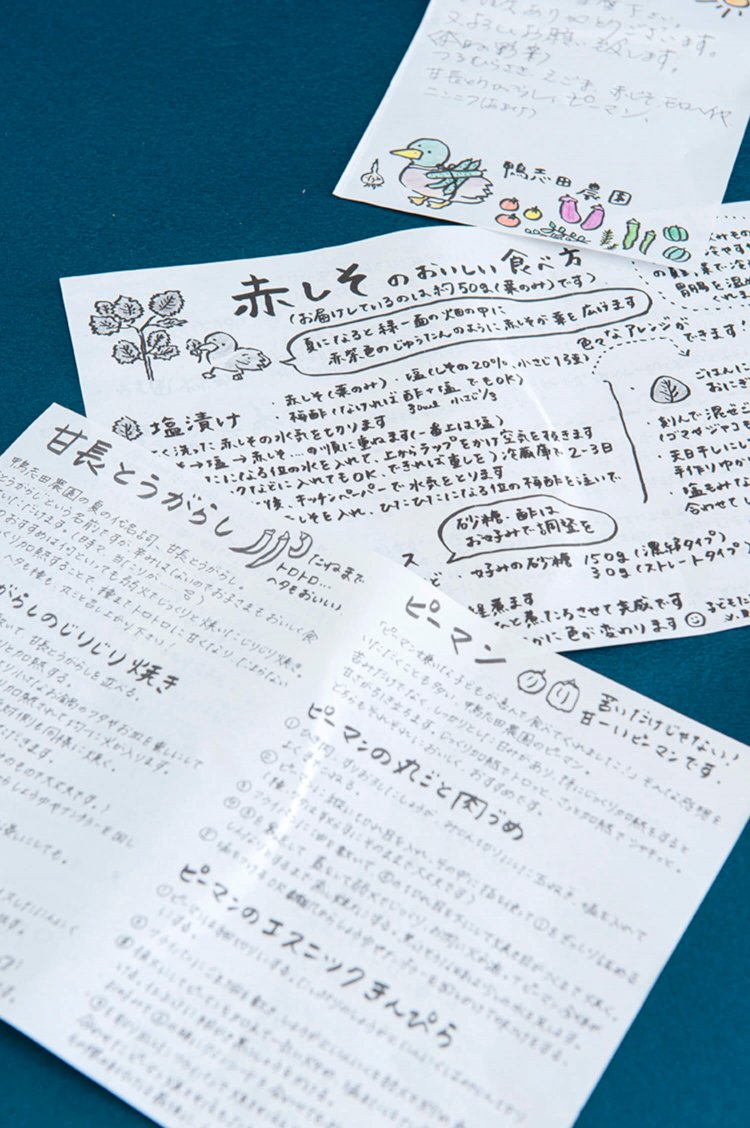 野菜に合わせた手書きのレシピが同梱。料理が苦手な人も心強い！